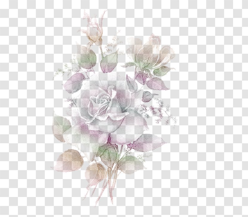 Garden Roses Flower Bouquet Cabbage Rose Floral Design - Family Transparent PNG