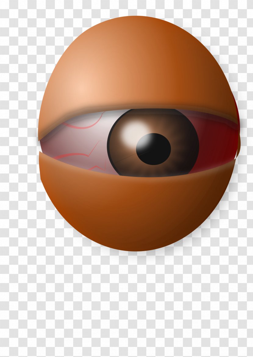 Eye Globe Clip Art - Silhouette - Egg Transparent PNG