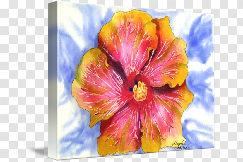 Hibiscus Watercolor Painting Floral Design Art - Plant Transparent PNG