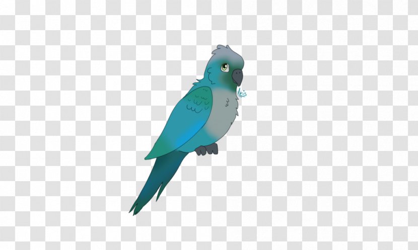 Lovebird Macaw Parakeet Cobalt Blue Feather - Turquoise Transparent PNG