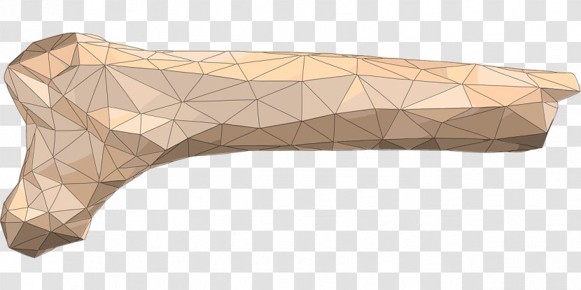 Bone Fracture Osteoporosis Polygon Rising Star Cave - Watercolor Transparent PNG