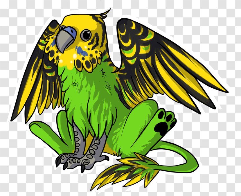 Bird Parrot - Beak - Claw Falconiformes Transparent PNG
