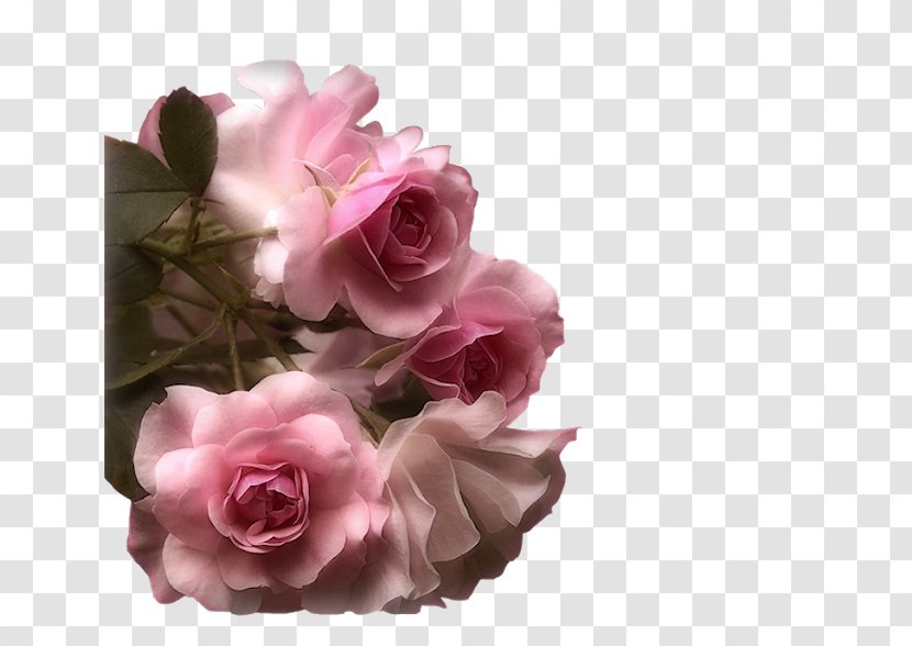 Flower Bouquet Romance Film Garden Roses Transparent PNG