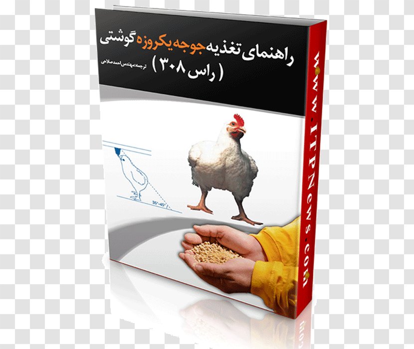 Broiler Chicken Meat Food Nutrition Transparent PNG