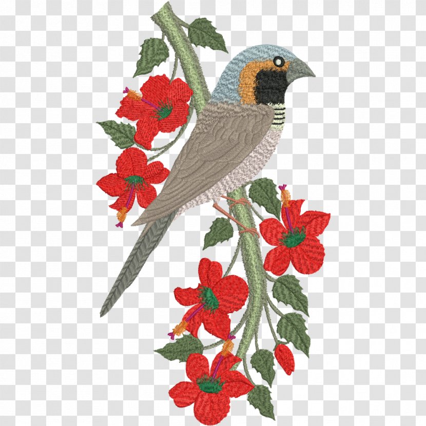 Songbird Pictorella Mannikin Finches - Embroidery - Bird Transparent PNG