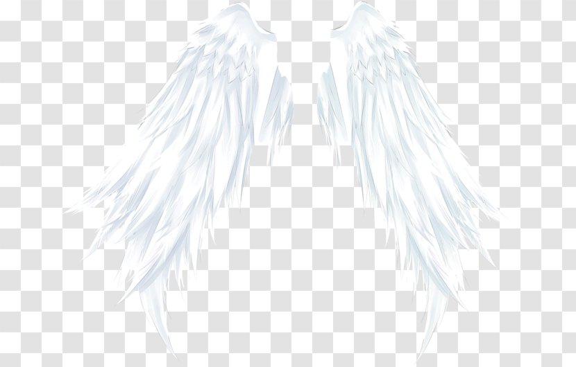 Outerwear White Black Pattern - Wing - Angel Wings Transparent PNG