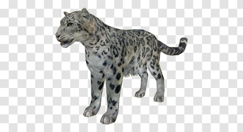 Snow Leopard Cheetah Zoo Tycoon 2 Felidae - Snowleopard Transparent PNG