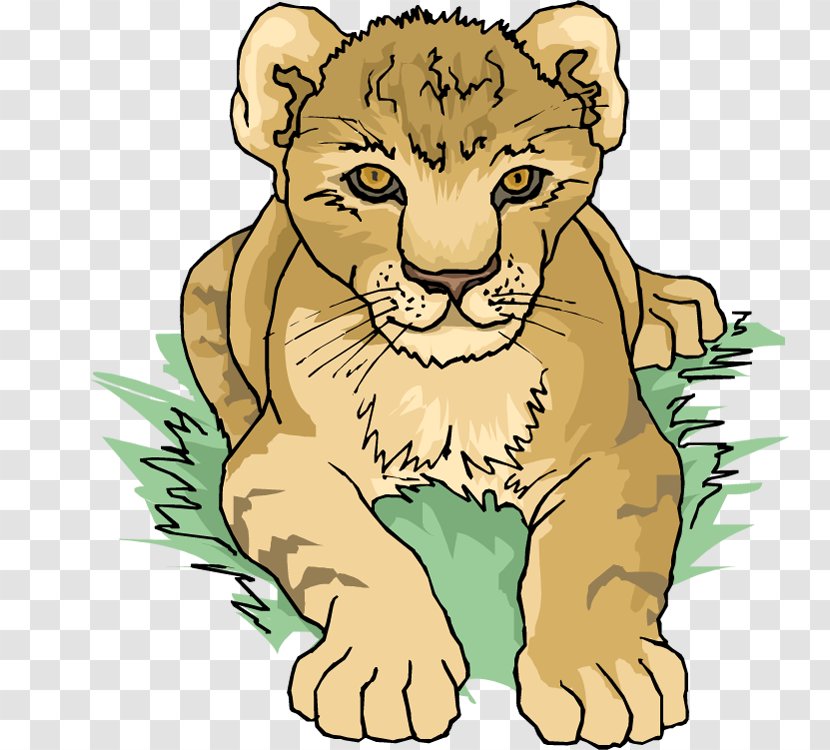 Lion Tiger Cougar Clip Art - Big Cat - Lions Clipart Transparent PNG