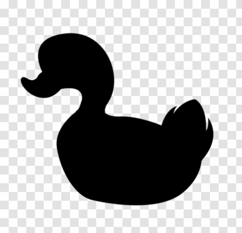 Duck Clip Art Beak Silhouette Water Bird - Ducks Geese And Swans Transparent PNG
