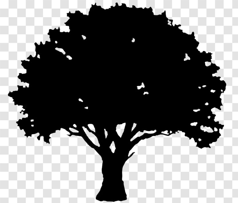 English Oak Tree Silhouette Clip Art - Drawing - Hole Transparent PNG