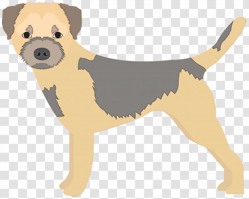 Puppy Companion Dog Leash Breed - Welsh Terrier Fawn Transparent PNG