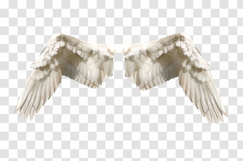 Guardian Angel Fairy Flight - Feather - Lights Transparent PNG
