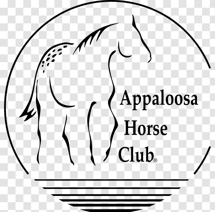 Appaloosa Horse Club American Paint Moscow Colt - Flower - Appaloosahorseclublogo Transparent PNG
