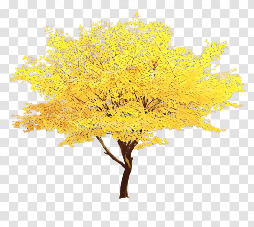 Red Maple Tree - Twig Goldenrod Transparent PNG
