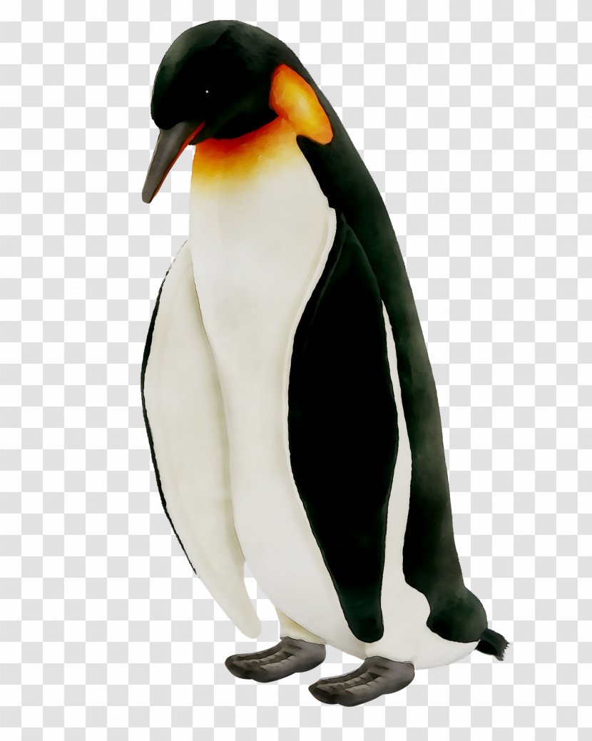 King Penguin Neck Beak - Vertebrate Transparent PNG