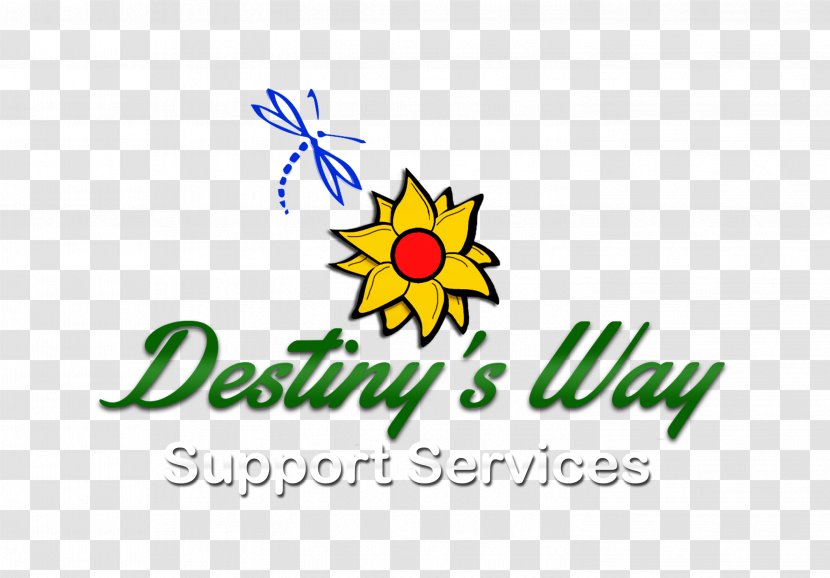 Destiny's Way Photography Client Portal The New Jedi Order - Web - Special Offer 50% Transparent PNG