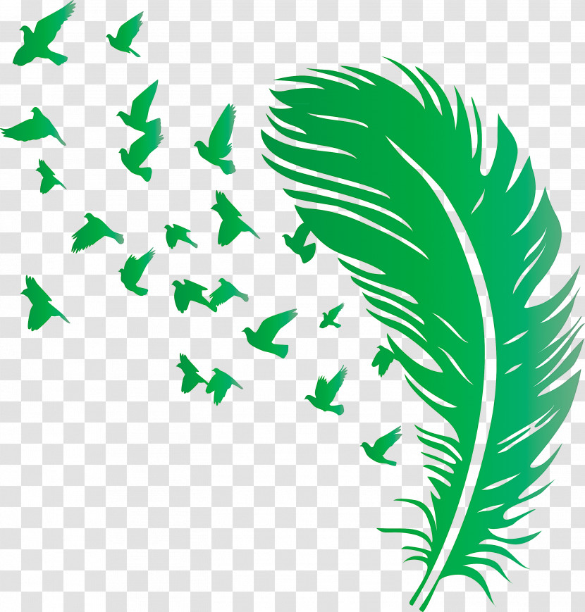 Bird Feather Transparent PNG