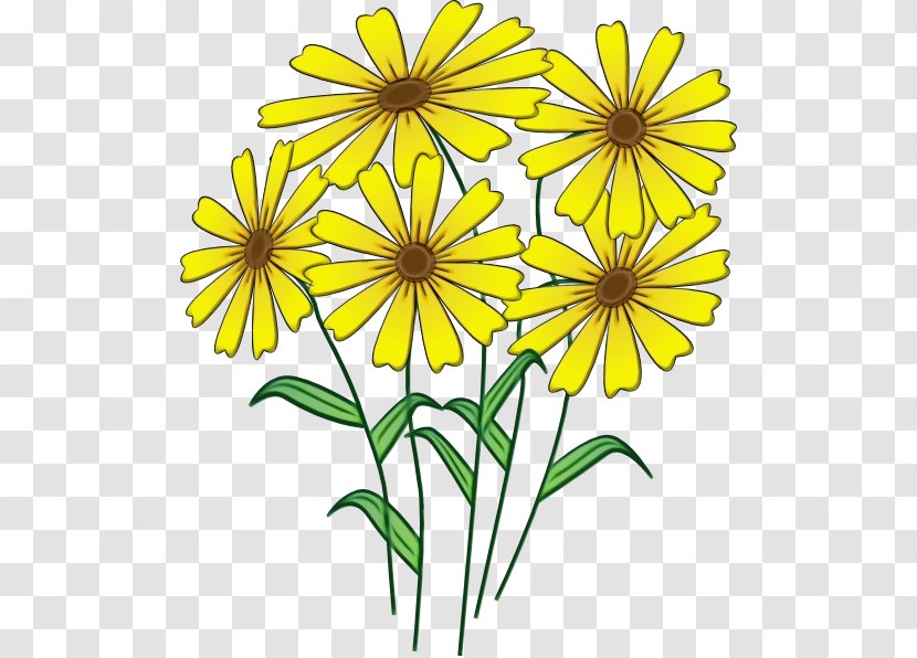 Flower Yellow Plant Flowering Wildflower - Petal - Stem Transparent PNG