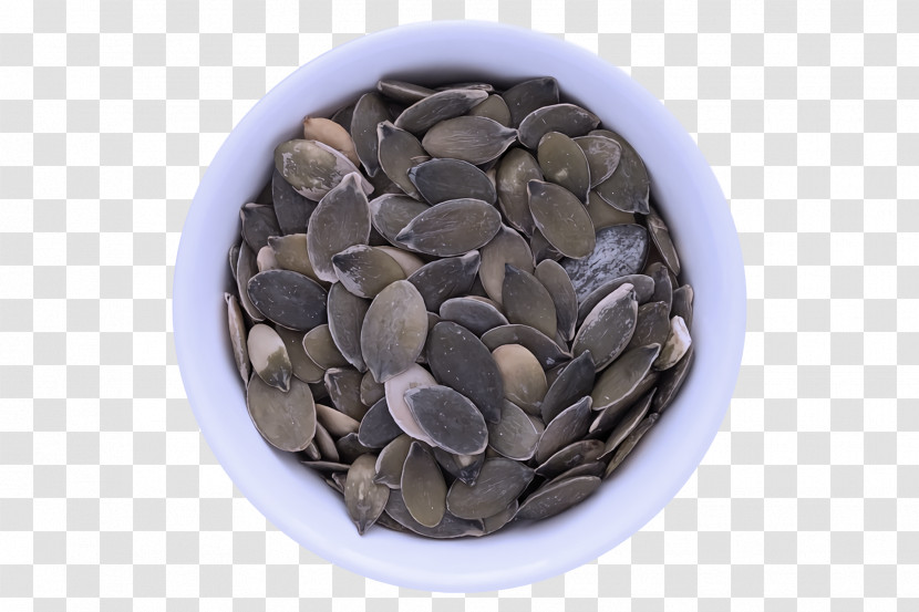 Seed Transparent PNG