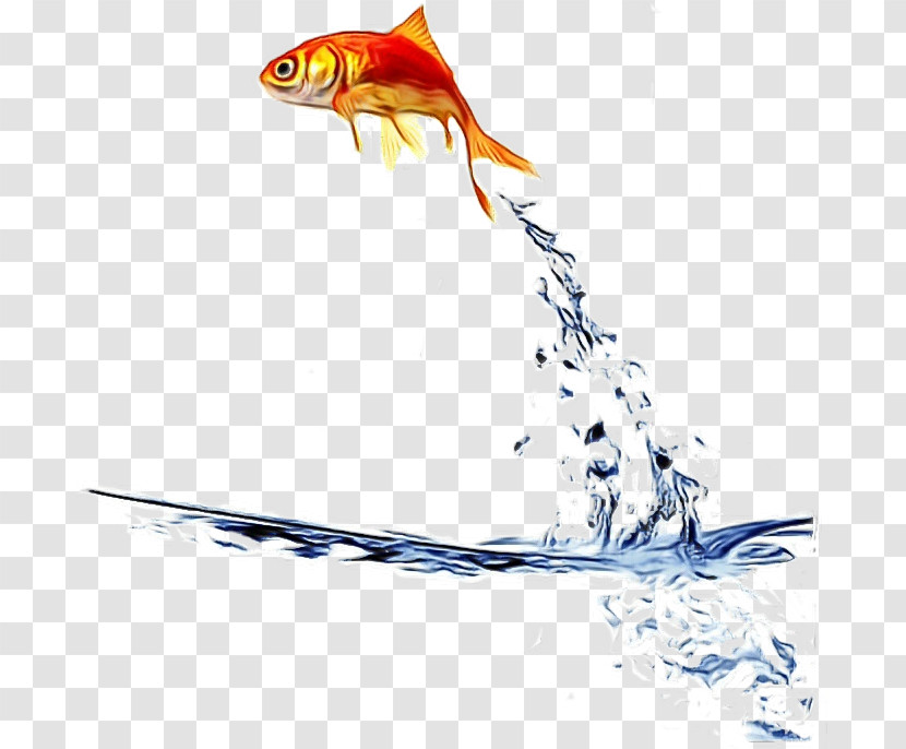 Fish Fish Goldfish Bony-fish Transparent PNG