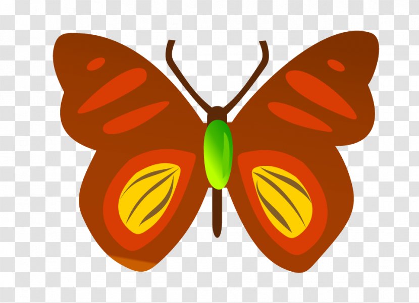 Insect Butterfly Cdr Download - Vector Transparent PNG