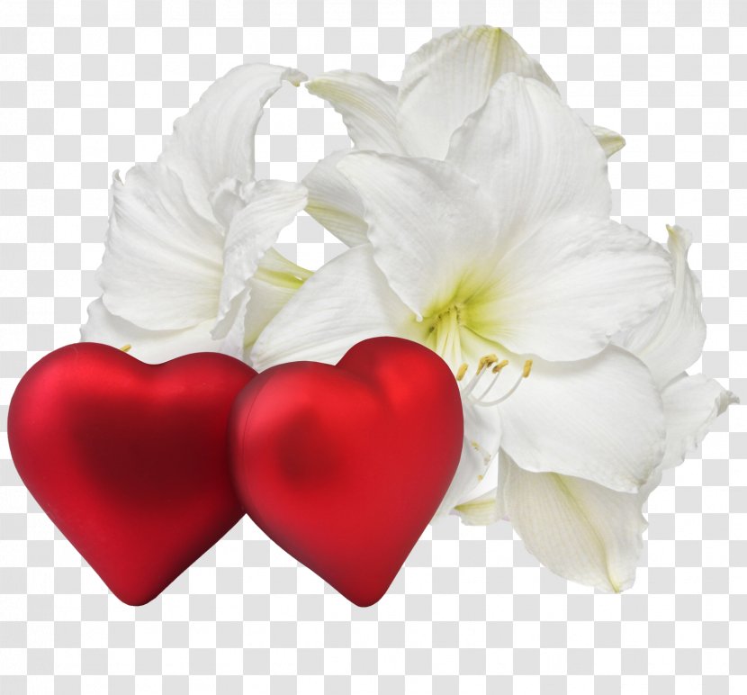 Love Romance Flower Heart Clip Art - Happy Valentines Day Transparent PNG
