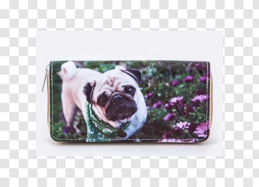 Pug Puppy Desktop Wallpaper Cuteness - Love Transparent PNG