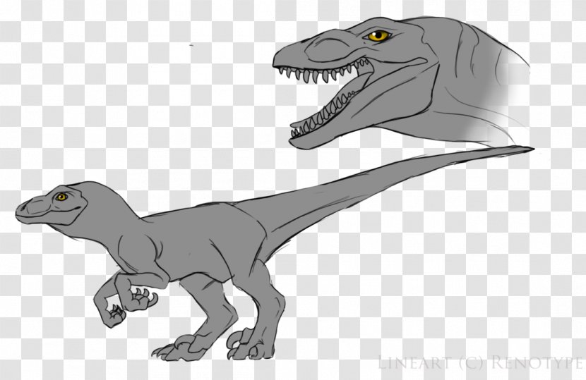 Velociraptor Tyrannosaurus Dinosaur Drawing Transparent PNG