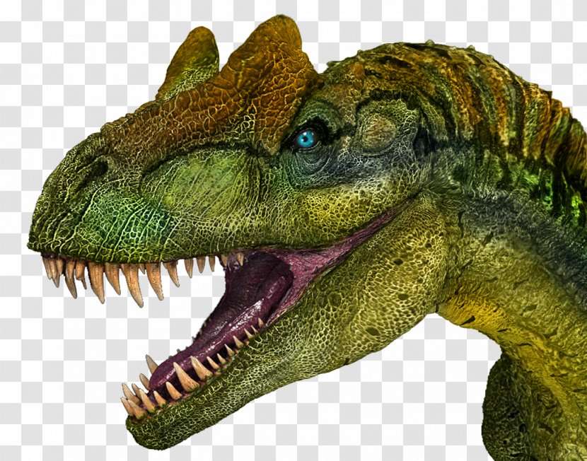 Allosaurus Tyrannosaurus Carnotaurus Dinosaur Ceratosaurus - Jurassic World Transparent PNG
