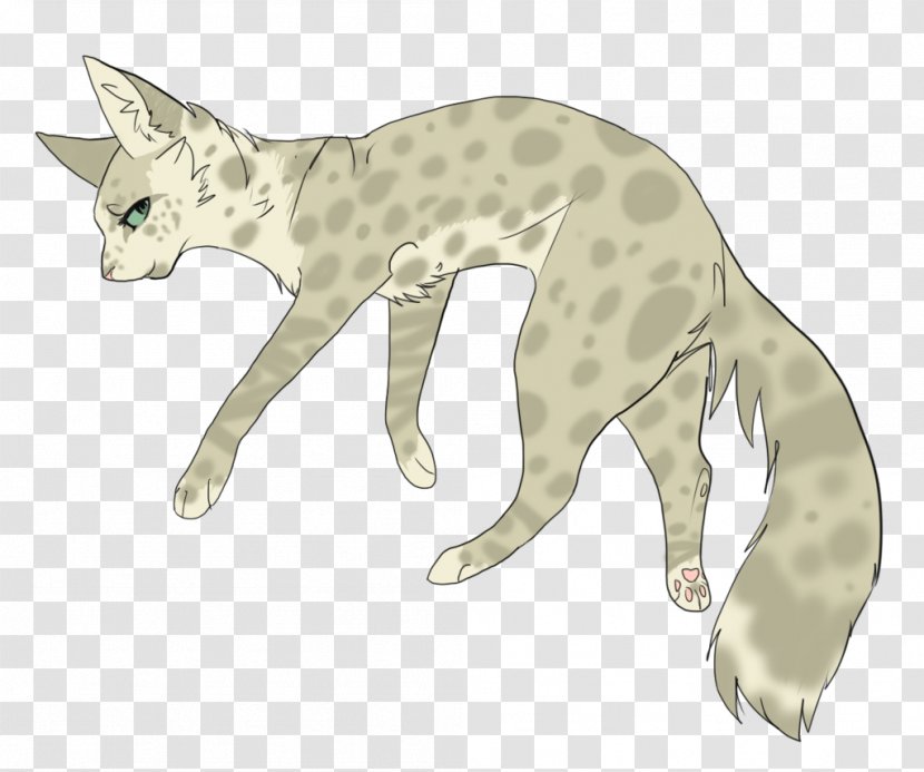 Whiskers Wildcat Warriors Digital Art - Carnivoran - Cat Transparent PNG