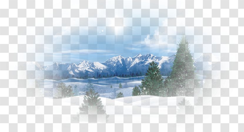 Winter Desktop Wallpaper Tree Painting - Freezing Transparent PNG