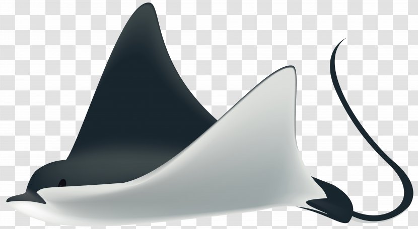 Fish Clip Art - Product Design - Ray Transparent Image Transparent PNG