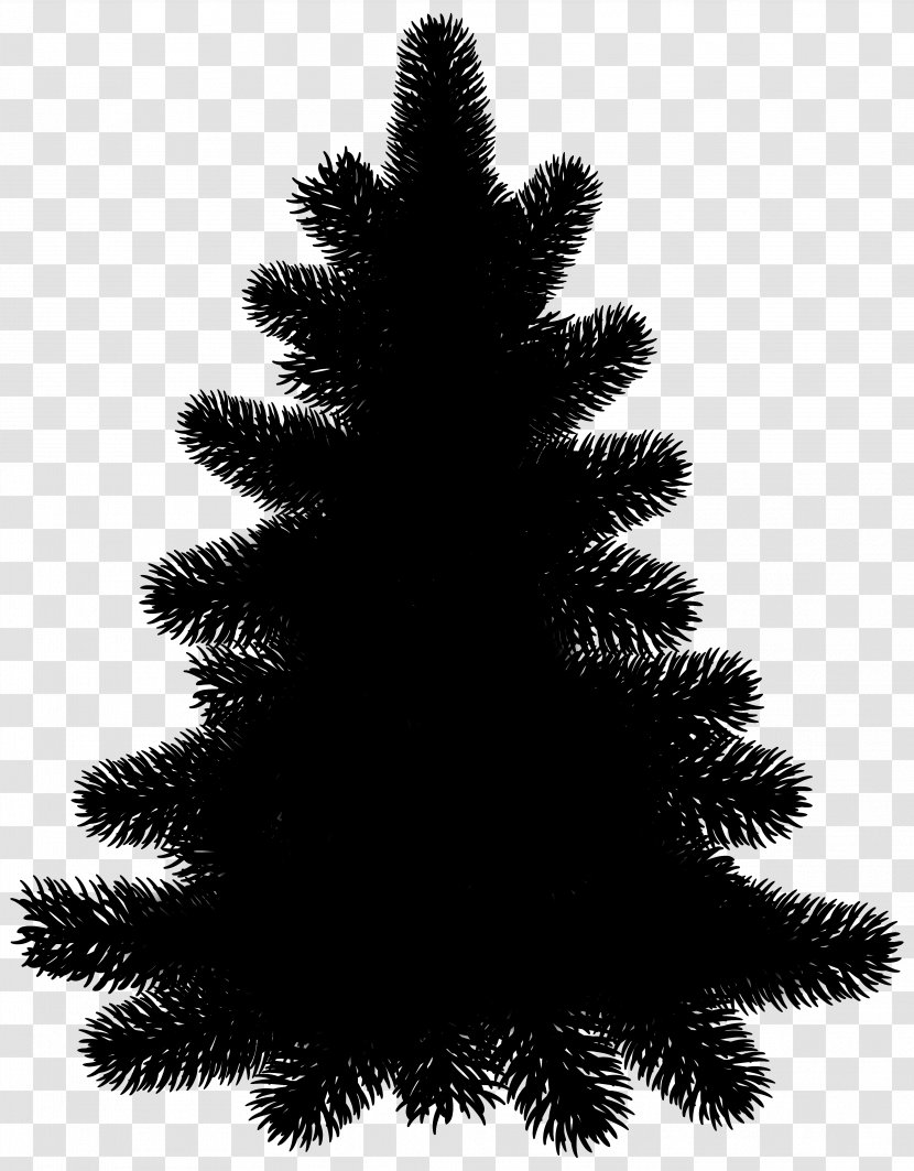 Clip Art Pine Tree Fir Evergreen - Blackandwhite - Pinus Nigra Transparent PNG
