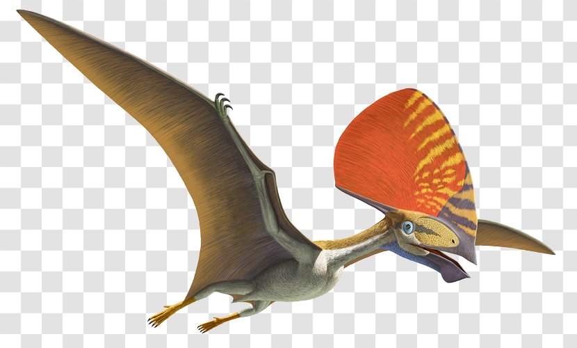 Natural History Museum Of Los Angeles County Pterosaurs Flight Anhanguera Darwinopterus - Pterodaustro - Dinosaur Transparent PNG