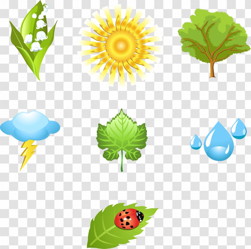 Nature Icon - Water - Natural Elements Transparent PNG