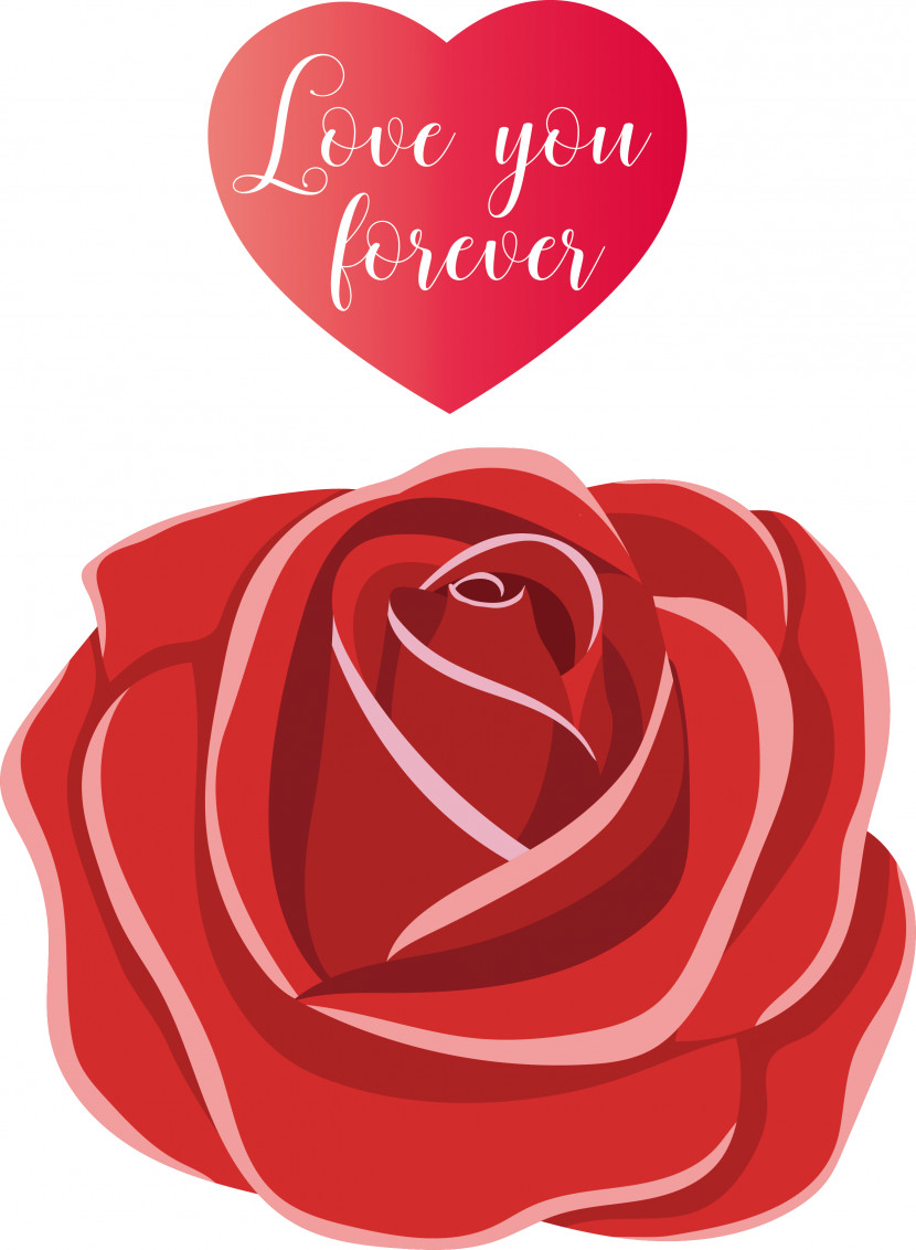 Garden Roses Transparent PNG