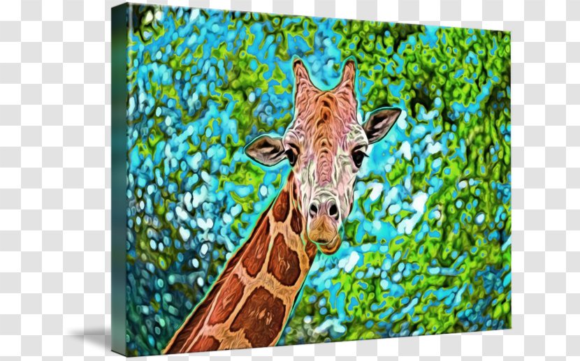 Giraffe Fauna Wildlife Teal Terrestrial Animal - Grass Transparent PNG