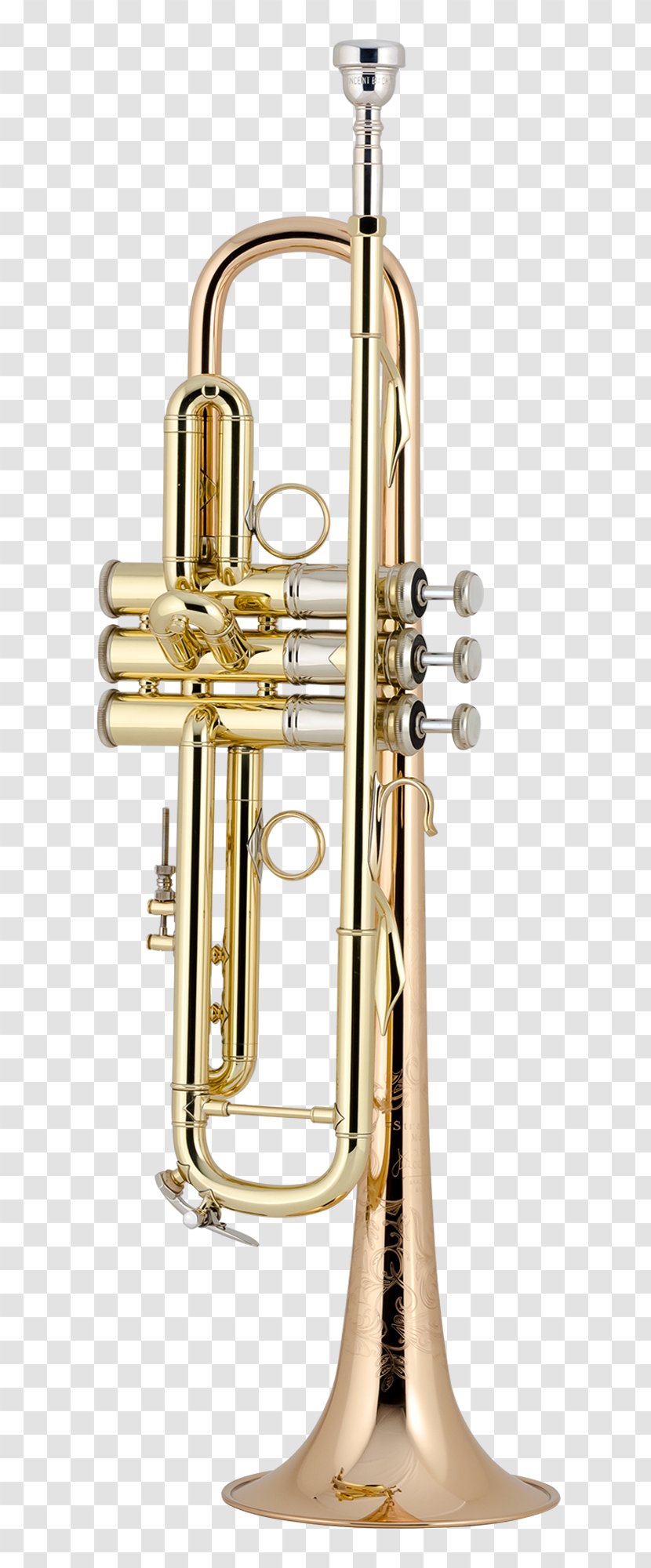 Brass Instruments Trumpet Musical Cornet Vincent Bach Corporation - Flower Transparent PNG