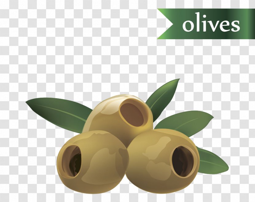 Olive Oil Fruit Leaf - Vecteur - Hand-painted Transparent PNG