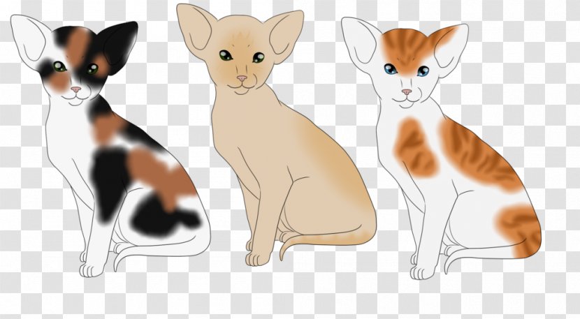 Whiskers Kitten Dog Canidae Paw - Animal Figure Transparent PNG