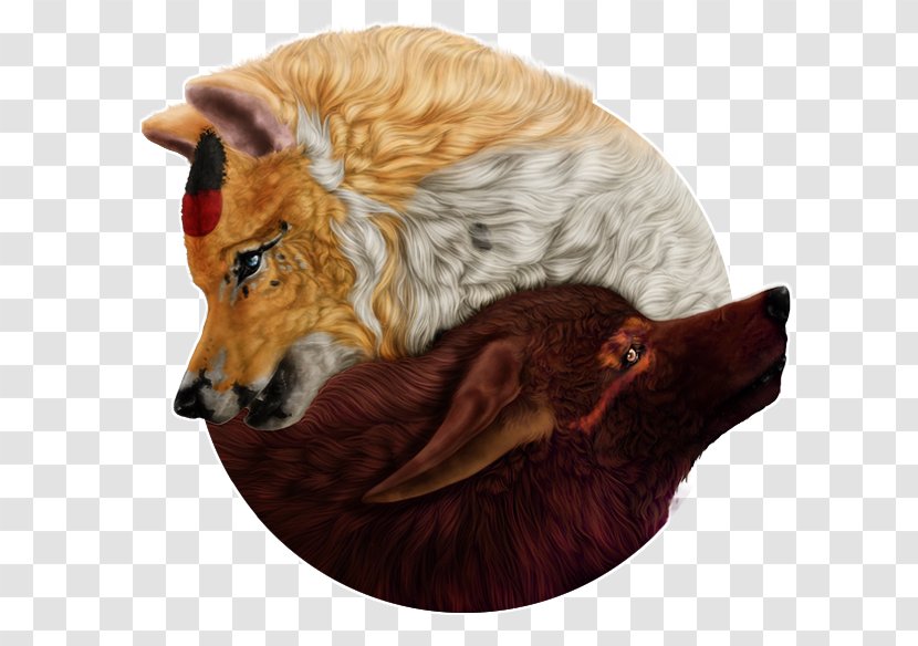 Red Fox Dog Fur Snout - Like Mammal Transparent PNG