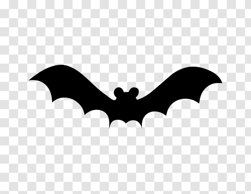 Bat Drawing Clip Art - Wing Transparent PNG