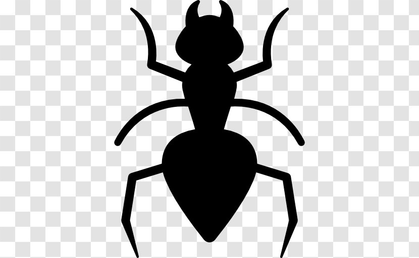 Ant Cockroach Insect Pest Control - Ants Vector Transparent PNG