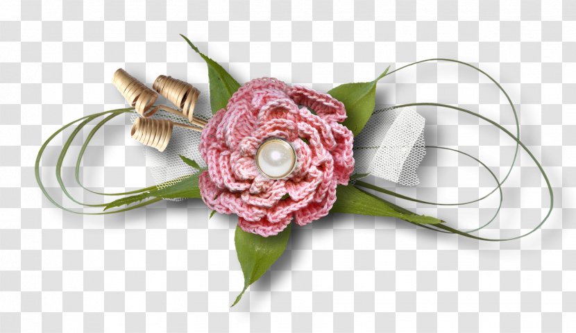 Photography Clip Art - Floral Design - Picasa Transparent PNG