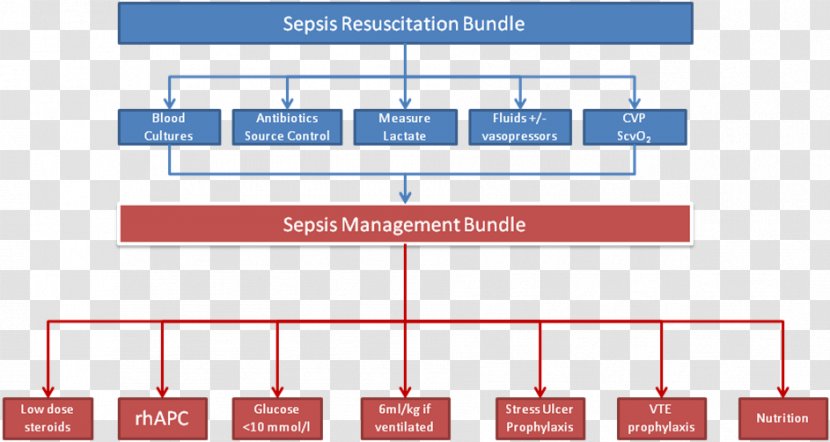 Sepsis Six Surviving Campaign Therapy Acute Liver Failure - Organization - Ventilation Transparent PNG