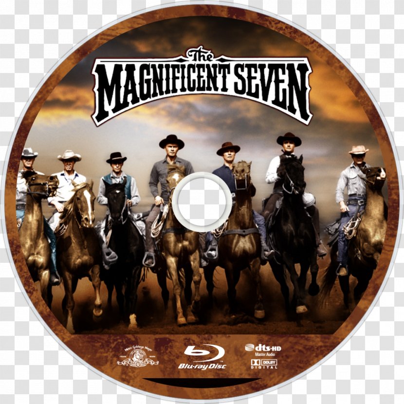 Film Western Television Gunfighter DVD - Horse - Magnificent Transparent PNG