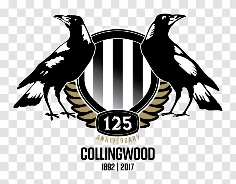 2018 Collingwood Football Club Season Westpac Centre 2017 AFL - Afl Transparent PNG
