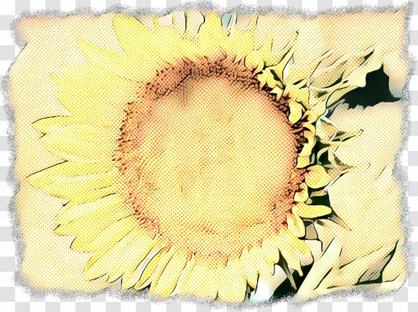 Yellow Sunflower - Cushion Transparent PNG