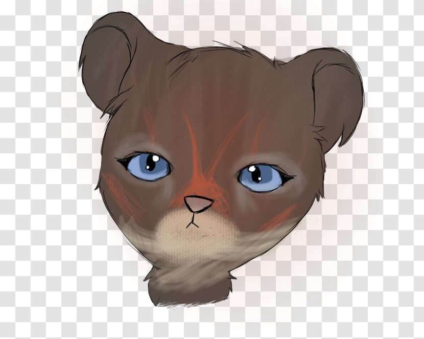 Whiskers Kitten Snout Paw Eye - Ear Transparent PNG