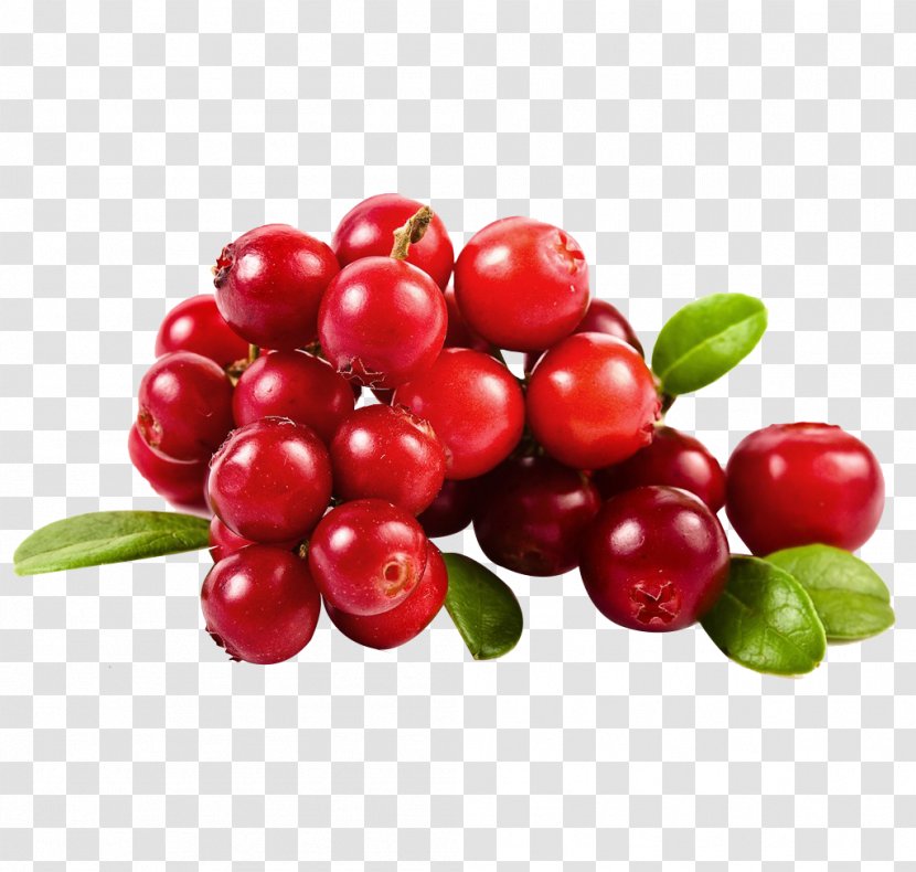 Cranberry Juice Fruit - Chokeberry - Cherry Picture Material Transparent PNG
